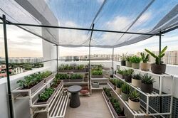 Tanamera Crest (D16), Condominium #566440591